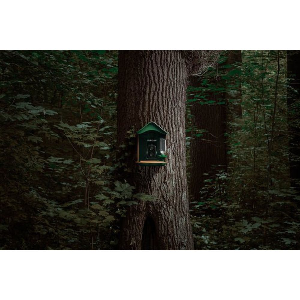 Camouflage EZ-BirdFeed Caméra pour animaux sauvages