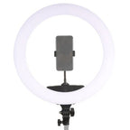 StudioKing LED Lampe Annulaire Set 65W LR-650 - Outlet