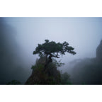 7artisans 14mm f/2.8 L-mount - Noir