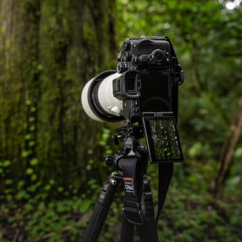 Sony A7R V Boîtier Nu