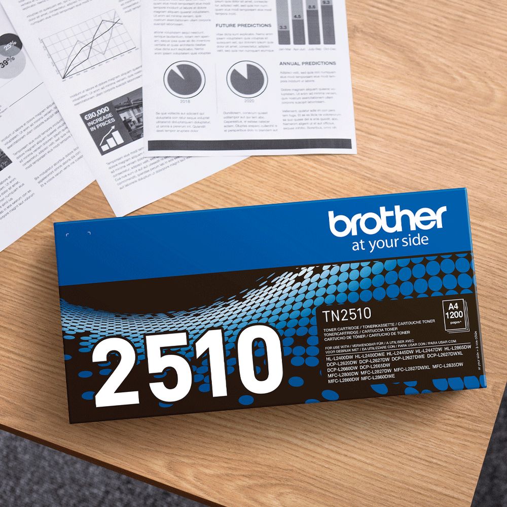 Brother TN-2510 Cartouche de toner