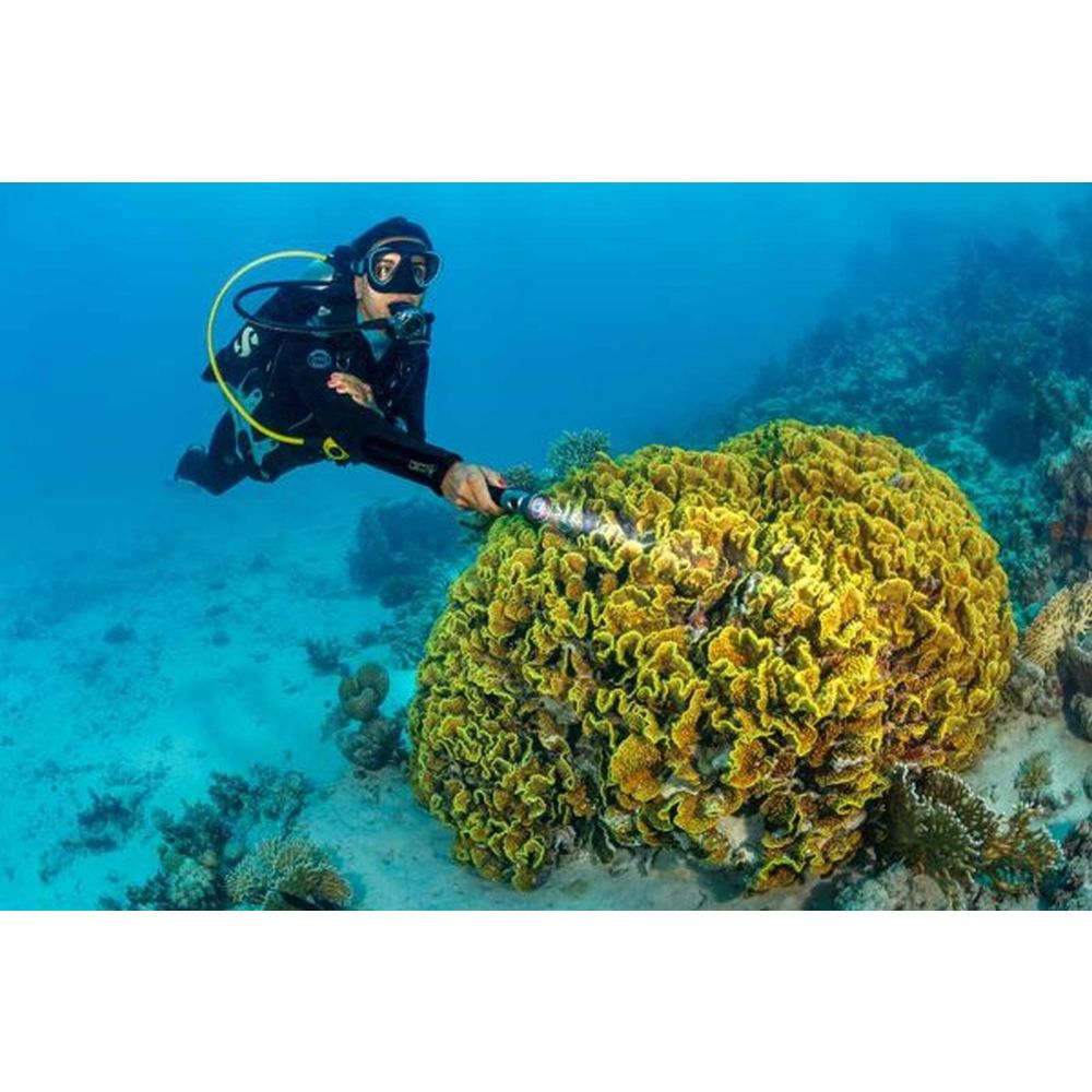 SeaLife Sea Dragon Mini 1200 (KIT12) Kit d'alimentation