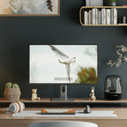 Alogic Clarity Max 32" UHD 4K Moniteur / PD 65W OUTLET