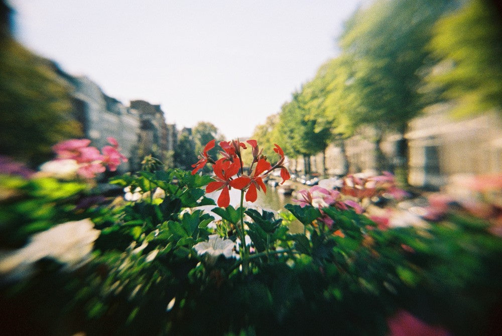 Ilford Pixie 35-II analoge Kamera