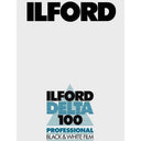 Ilford Delta 100 8x10 25 Blatt Film