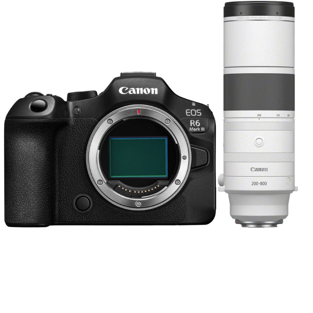 Canon EOS R6 Mark III + RF 200-800mm f/6.3-9 IS USM
