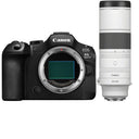 Canon EOS R6 Mark III + RF 200-800mm f/6.3-9 IS USM