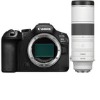 Canon EOS R6 Mark III + RF 200-800mm f/6.3-9 IS USM