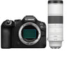 Canon EOS R6 Mark III + RF 200-800mm f/6.3-9 IS USM