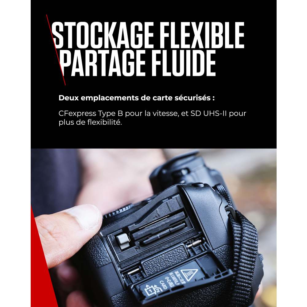 Canon EOS R6 Mark III + RF 200-800mm f/6.3-9 IS USM