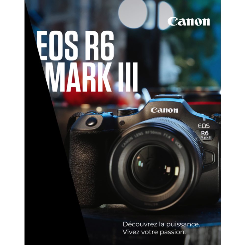 Canon EOS R6 Mark III + RF 200-800mm f/6.3-9 IS USM