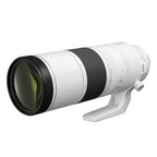 Canon EOS R6 Mark III + RF 200-800mm f/6.3-9 IS USM