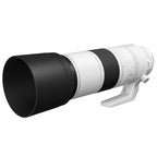 Canon EOS R6 Mark III + RF 200-800mm f/6.3-9 IS USM