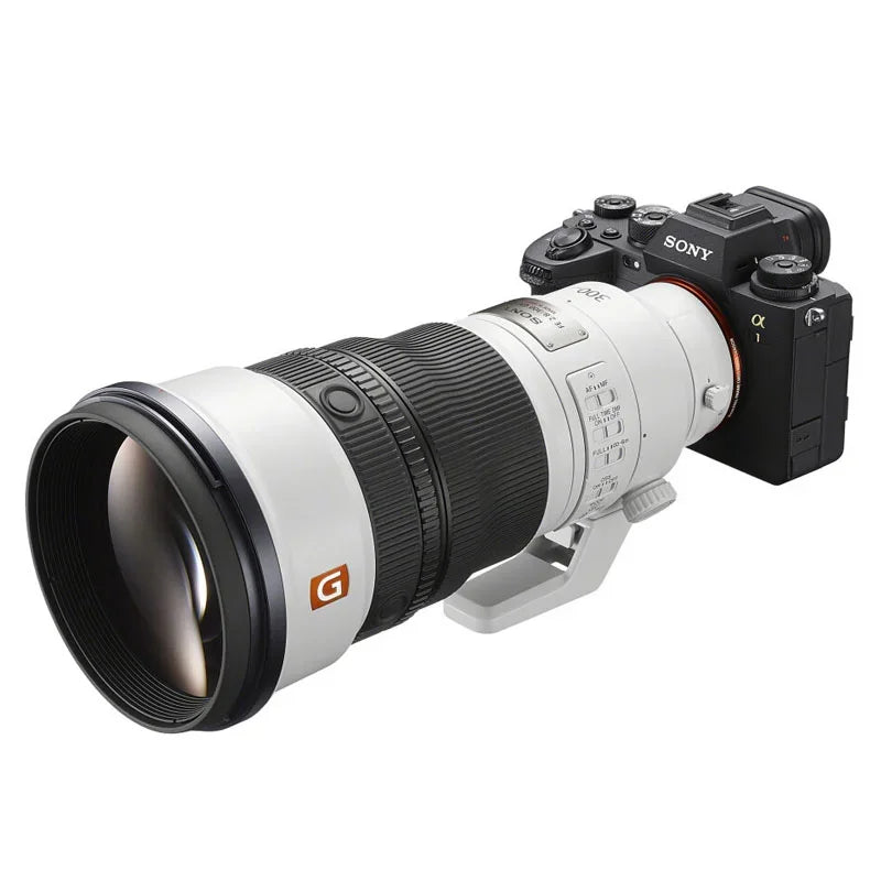 Sony A1 II + 300mm f/2.8 GM OSS