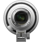 Sony A1 II + 300mm f/2.8 GM OSS