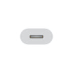 Apple Adaptateur USB-C vers Lightning