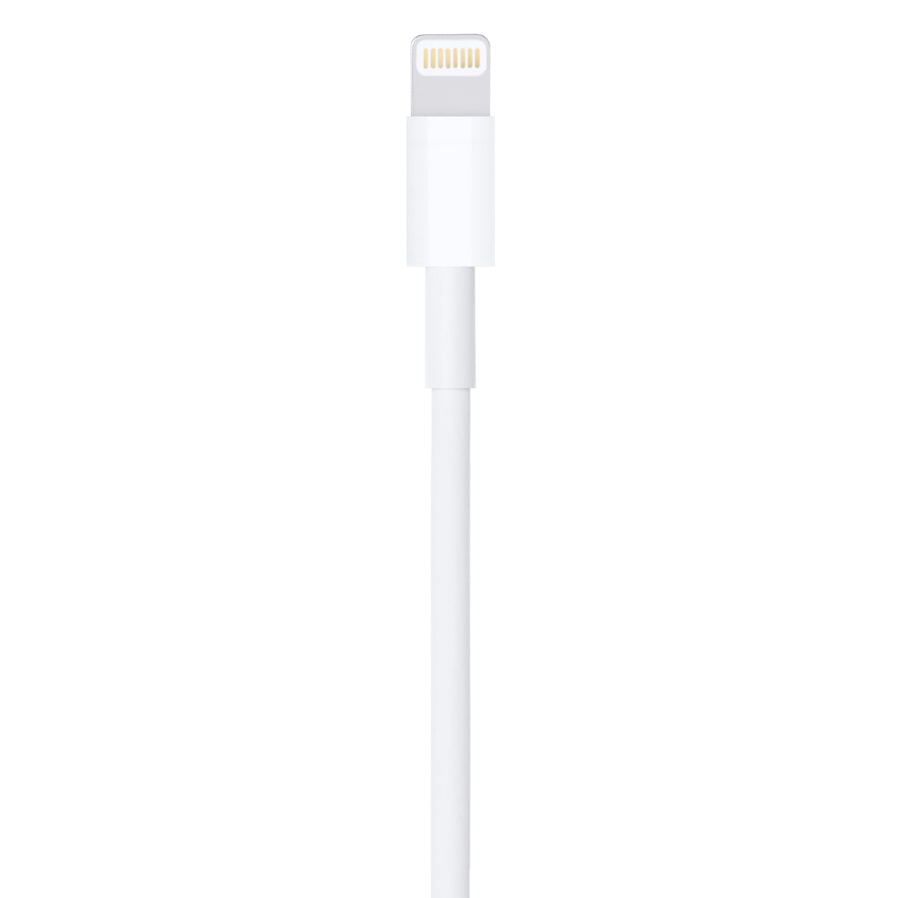Apple Lightning to USB Cable 1 m