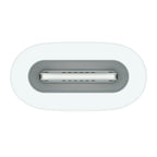 Apple Adaptateur USB-C vers Apple Pencil