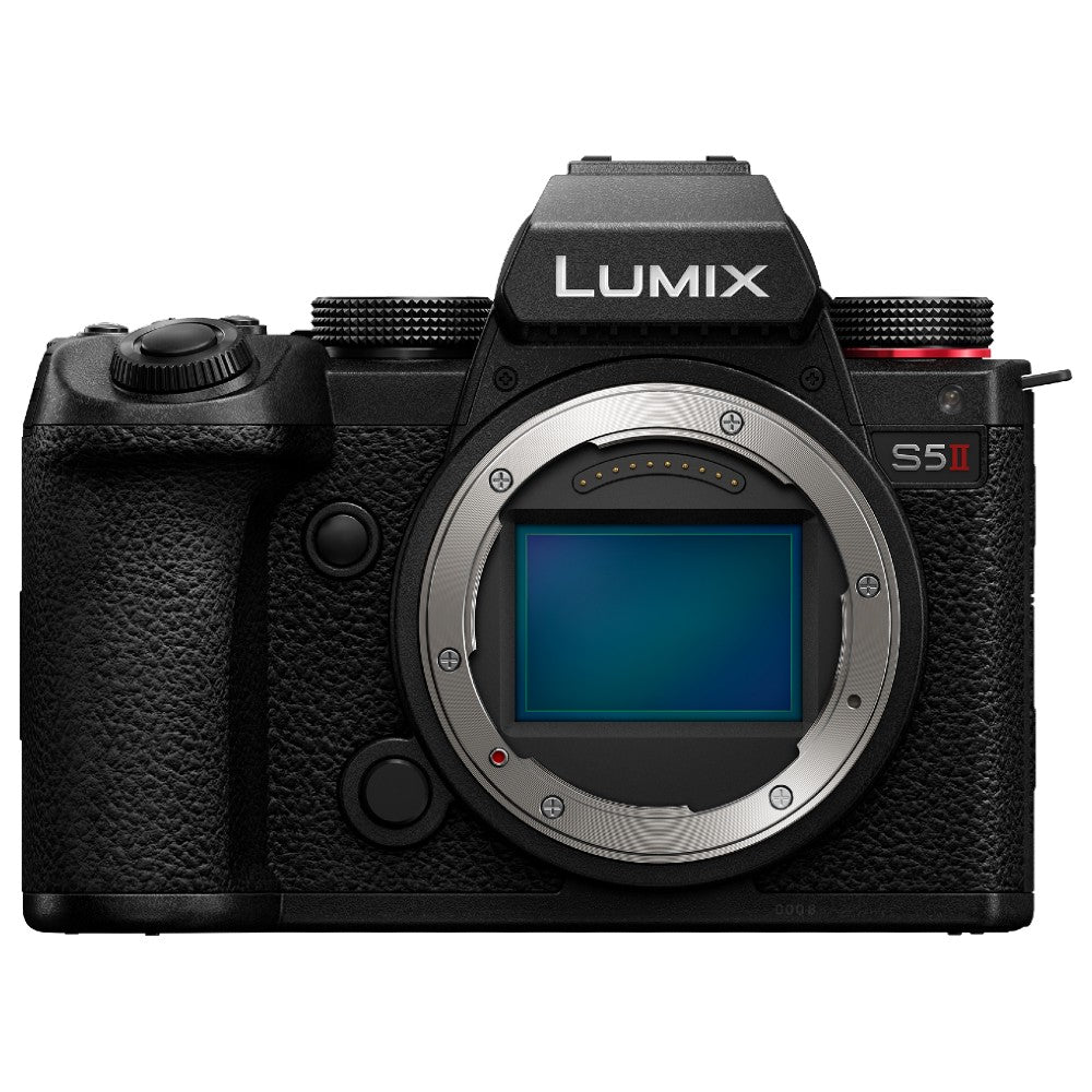 Panasonic Lumix DC-S5 II + Lumix S 100-500mm f/5-7.1