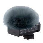 Panasonic Lumix DC-S5 IIX + Lumix DMW-DMS1E Digitales Shotgun-Mikrofon