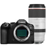 Canon EOS R6 Mark III + RF100-500mm f/4.5-7.1 L IS USM