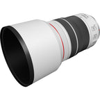 Canon EOS R6 Mark III + RF 70-200 f/4 IS USM