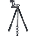Sirui Sportich Carbon-Stativ SP324+BH-10