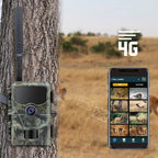 Stealth Gear Hedgehog 1080p 4G Caméra de surveillance animalière