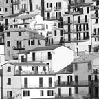 B+W Orange Filtre 550 MRC Nano Master 39mm