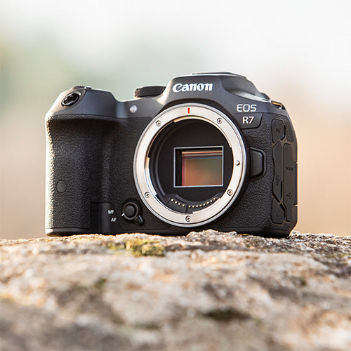 Canon EOS R7 + RF 16mm f/2.8 STM