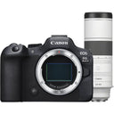 Canon EOS R6 Mark II + RF 200-800mm f/6.3-9 IS USM