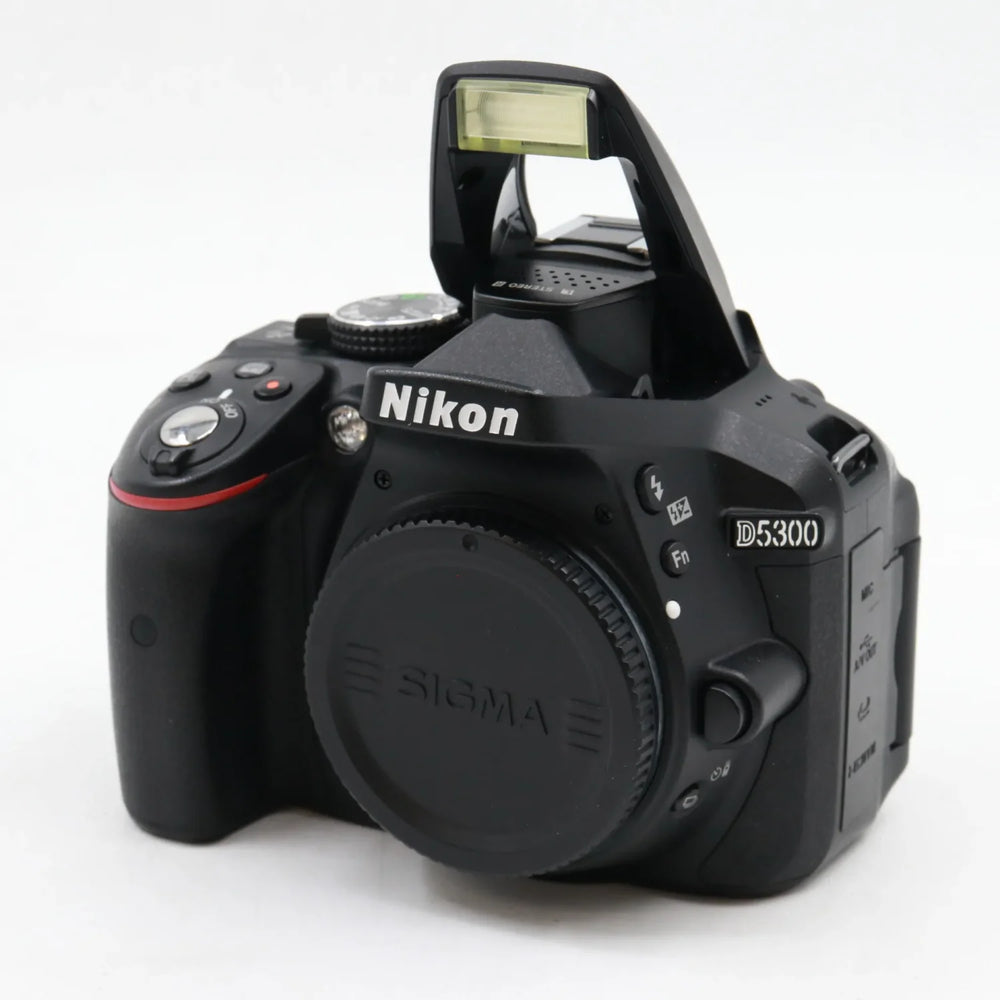Nikon D5300 boîtier occasion