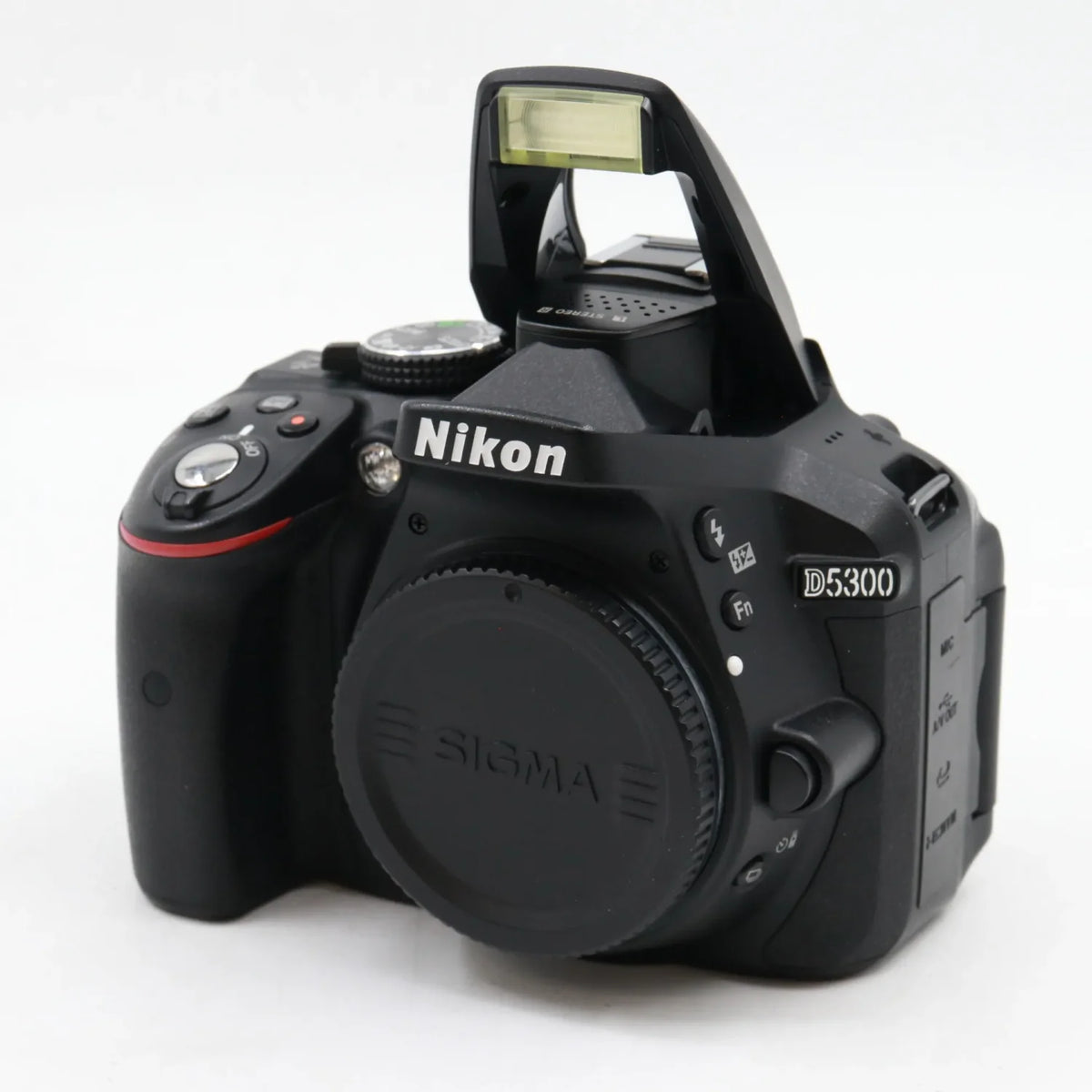 Nikon D5300 boîtier occasion