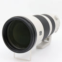 Sony FE 200-600mm f/5.6-6.3 G OSS occasion