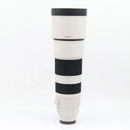 Sony FE 200-600mm f/5.6-6.3 G OSS occasion