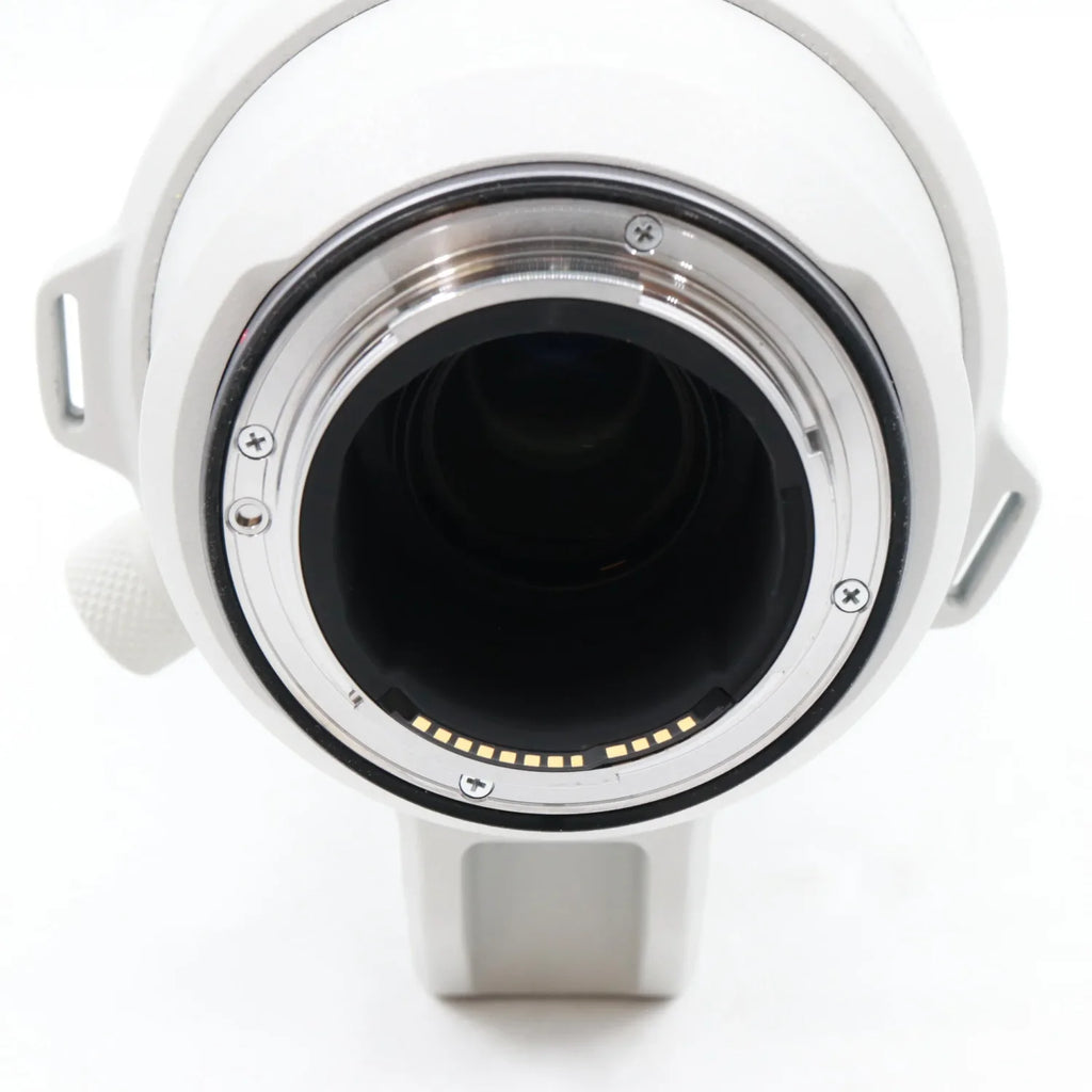Canon RF 200-800mm f/6.3-9 IS USM gebraucht