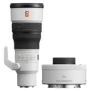 Sony FE 600mm f/6.3 GM OSS + 2.0 Teleconverter