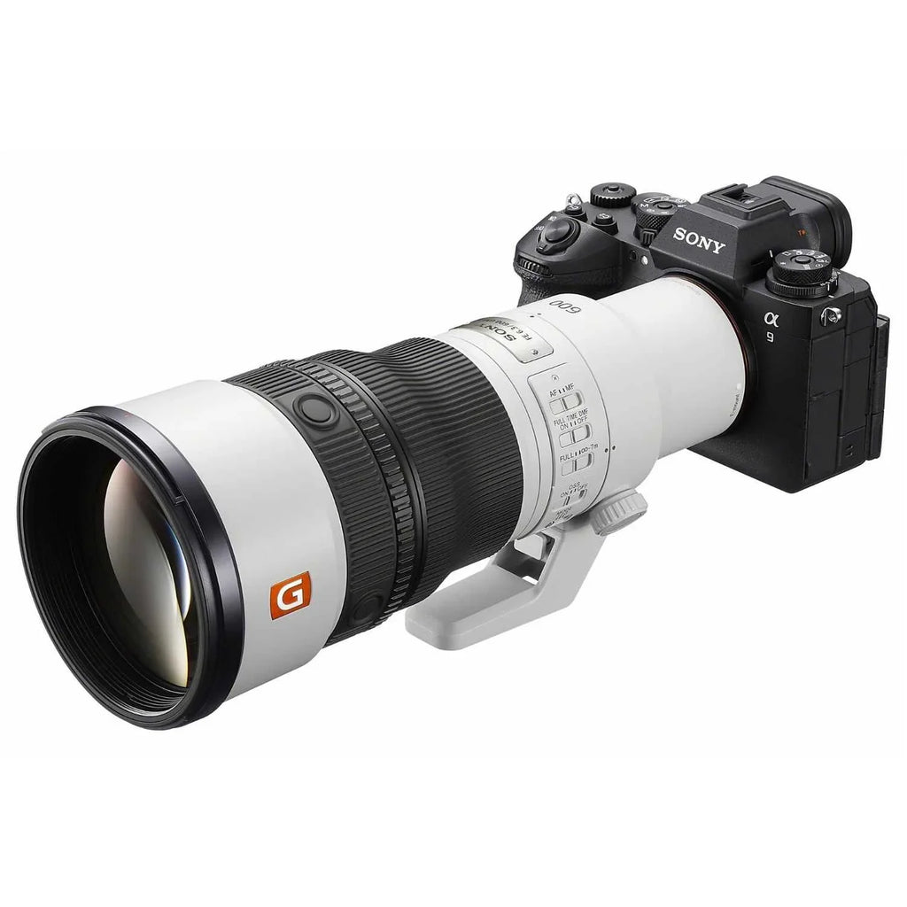 Sony FE 600mm f/6.3 GM OSS + 2.0 Teleconverter