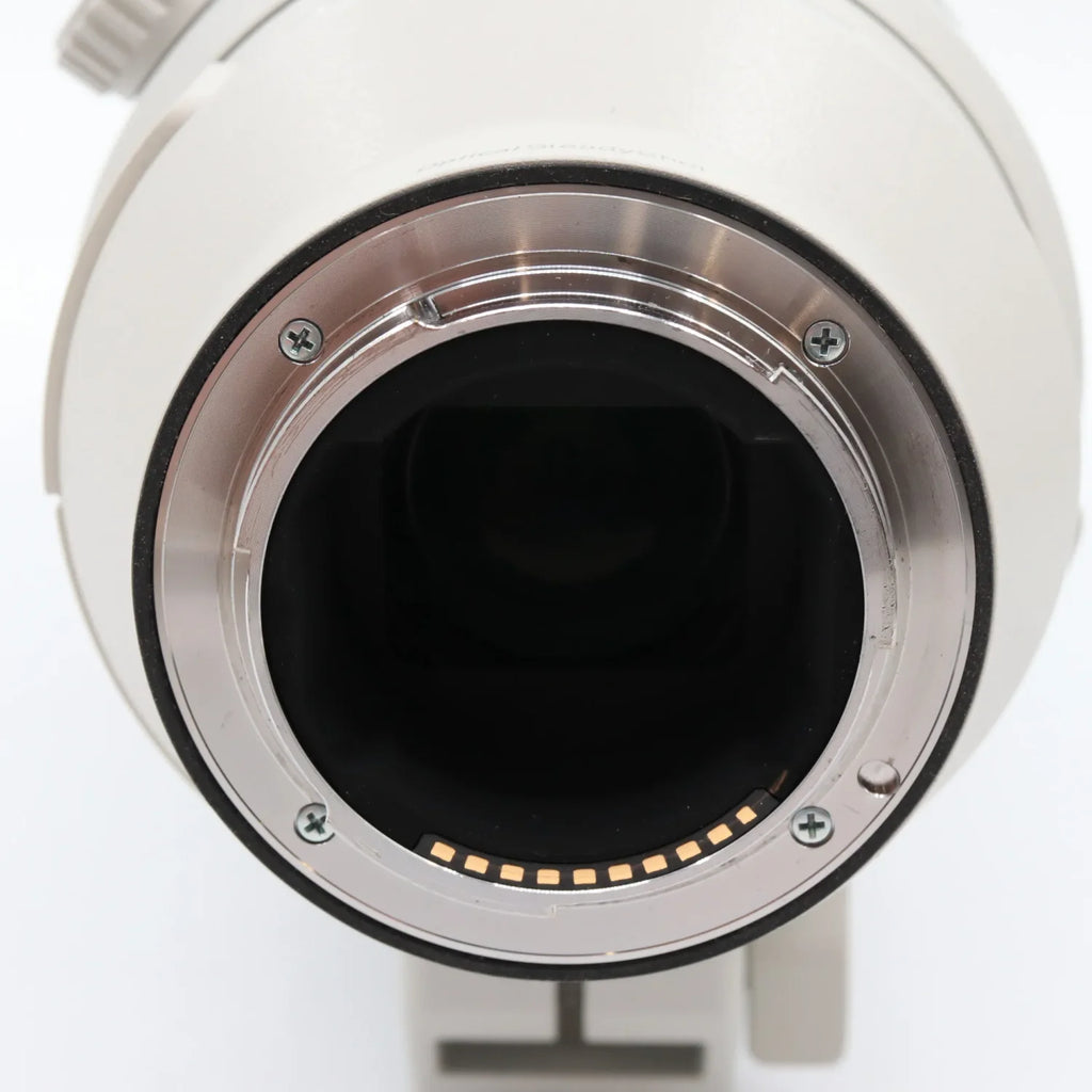 Sony FE 200-600mm F/5.6-6.3 G OSS occasion