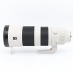 Sony FE 200-600mm F/5.6-6.3 G OSS occasion