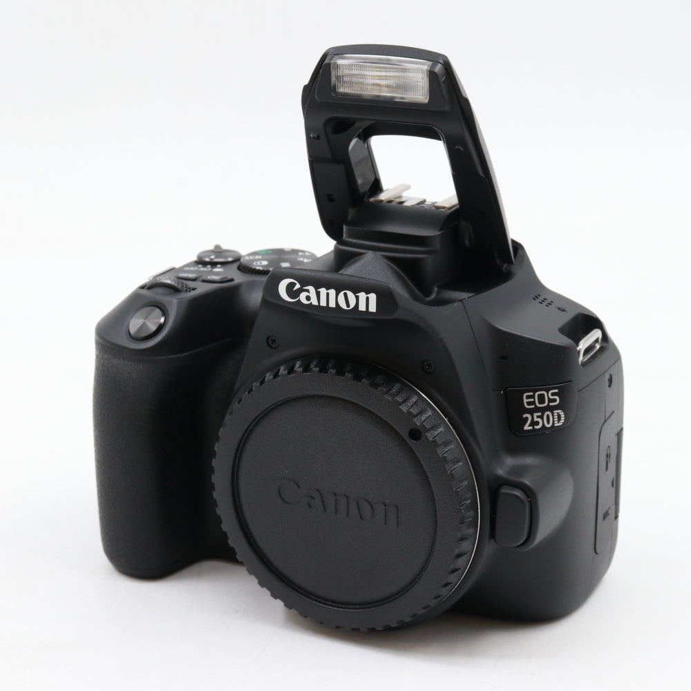 Canon EOS 250D boîtier occasion
