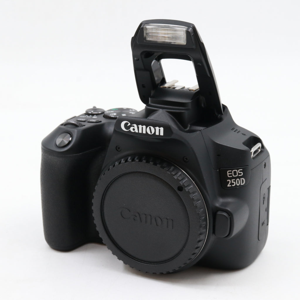 Canon EOS 250D boîtier occasion