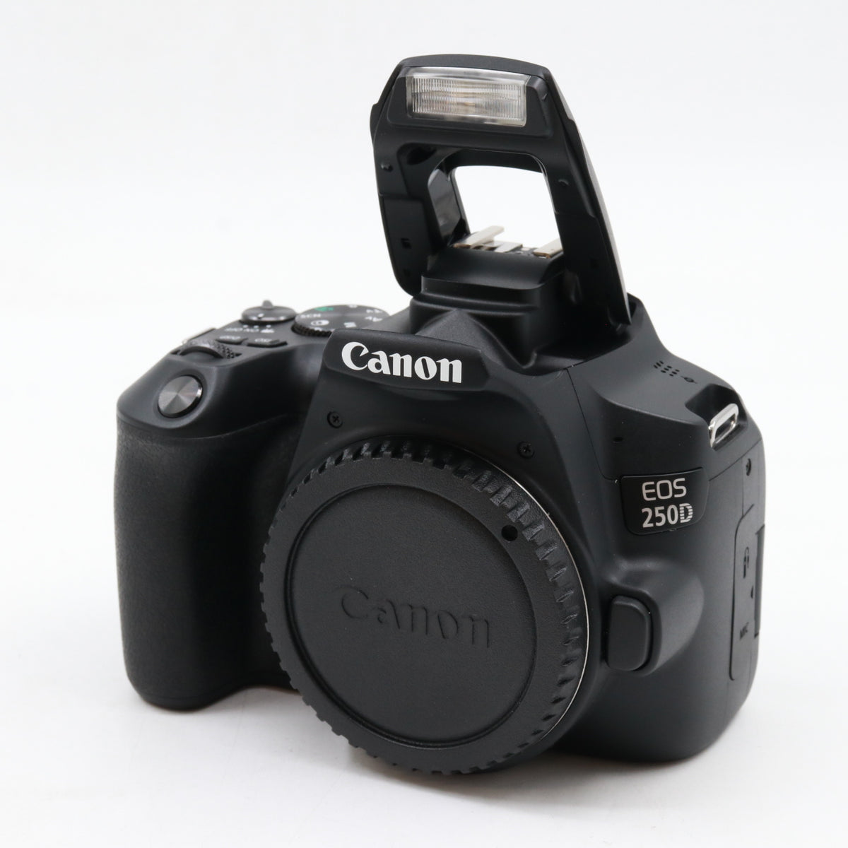 Canon EOS 250D boîtier occasion