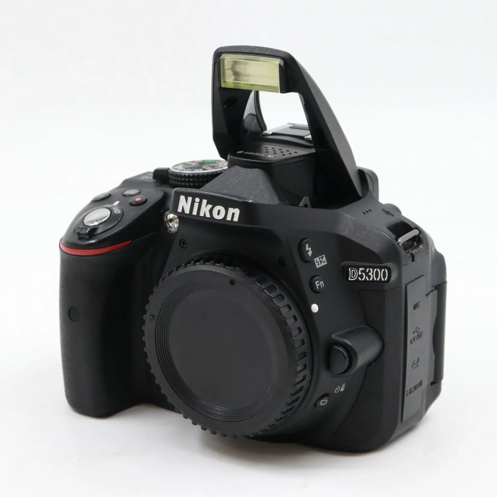 Nikon D5300 boîtier occasion