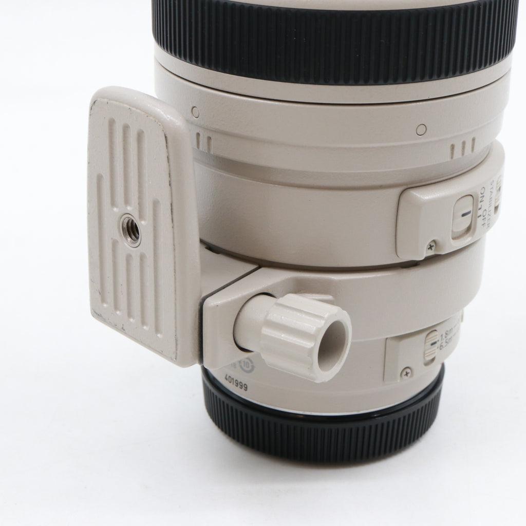 Canon EF 100-400mm f/4.5-5.6 L IS USM (Schiebezoom) gebraucht