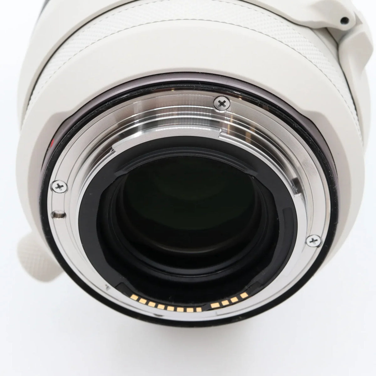 Canon RF 100-500mm f/4.5-7.1 L IS USM occasion