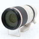 Canon RF 100-500mm f/4.5-7.1 L IS USM occasion