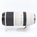 Canon RF 100-500mm f/4.5-7.1 L IS USM occasion