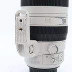 Canon EF 100-400mm f/4.5-5.6 L IS USM II (rotating zoom) used