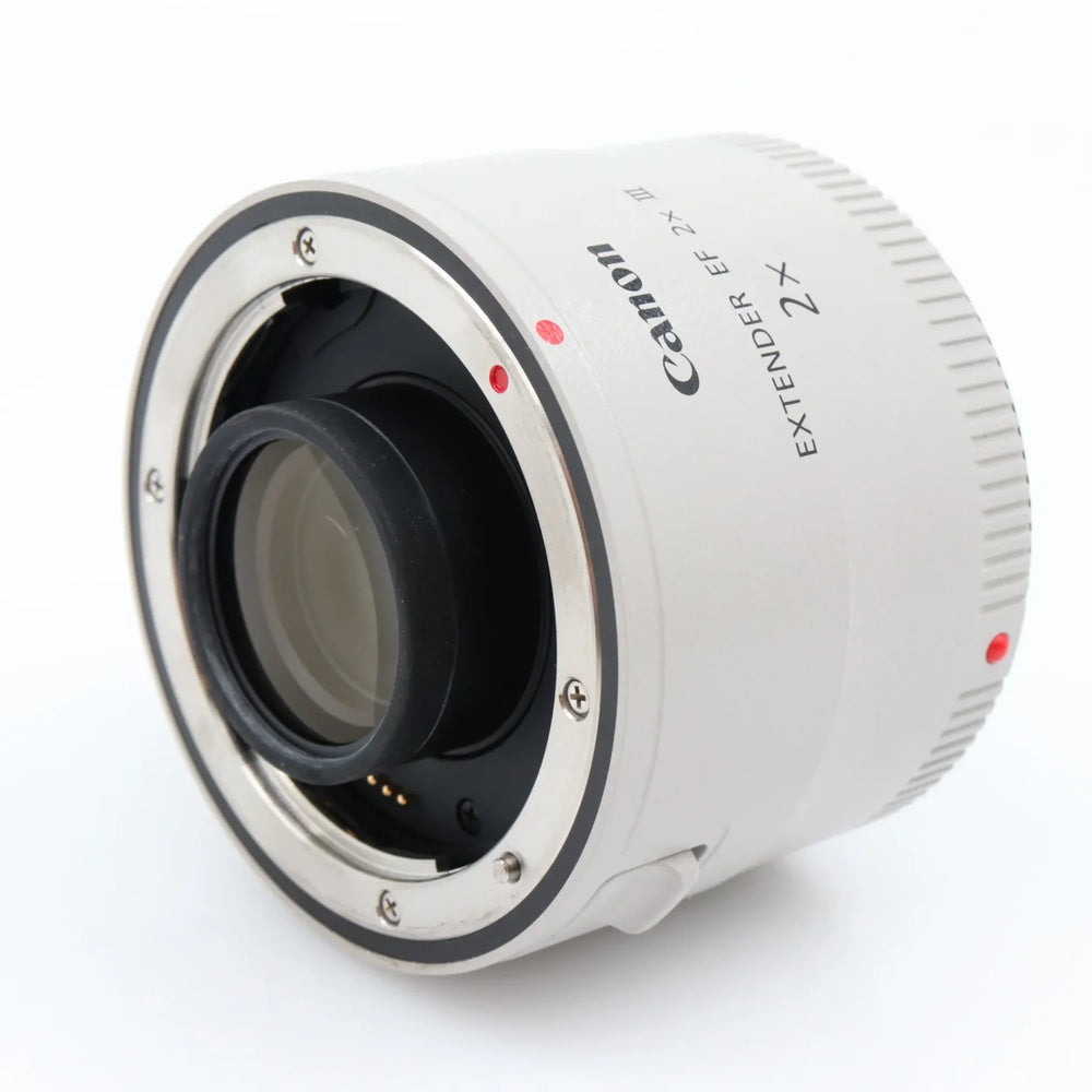Canon EF 2x III Extender (teleconverter) used